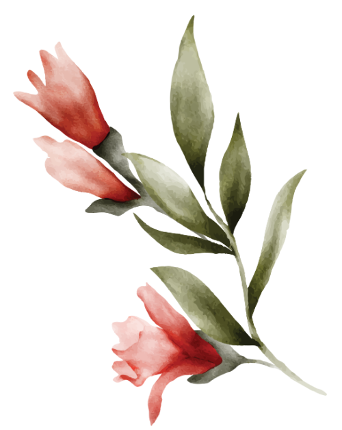 Hoa lá, màu nước 1