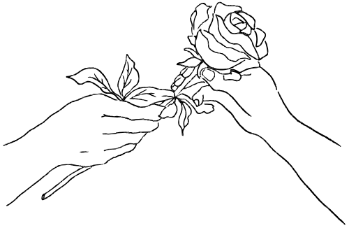 Line, nắm tay, cầm hoa 1