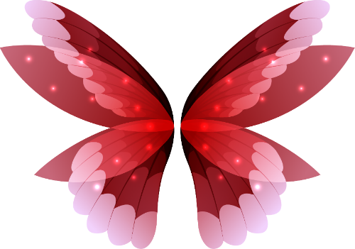 Cánh bướm, bươm bướm