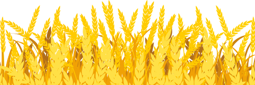Đồng lúa, nông thôn