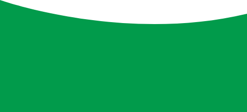 Shape, mảng màu