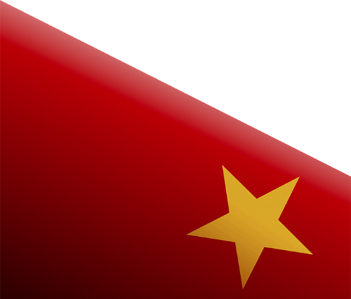 Lá cờ, cờ Việt Nam
