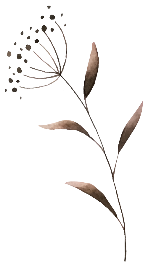 Hoa lá, màu nước 5