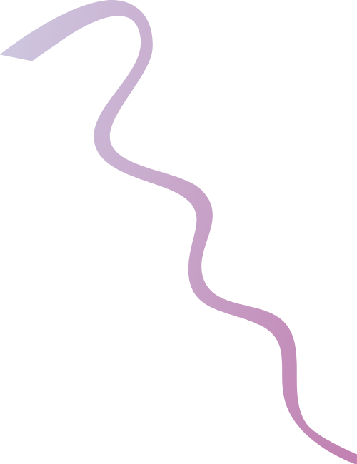 Pháo giấy, pháo 6