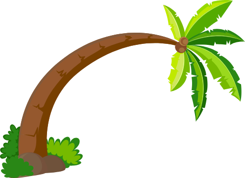 Cây dừa, coconut