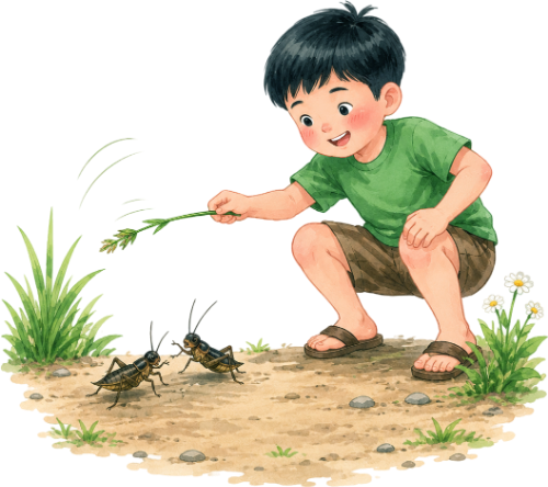 Cậu bé, chọi dế