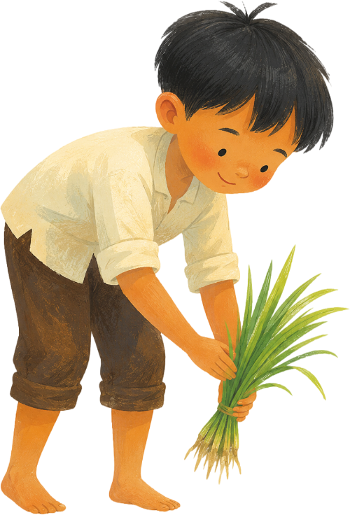 Cậu bé, cấy lúa 8