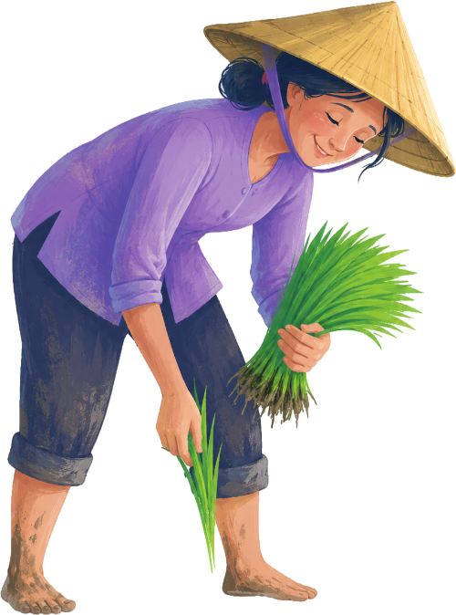 Nông dân, cấy lúa 3