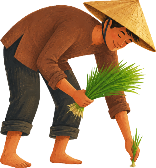 Nông dân, cấy lúa 5