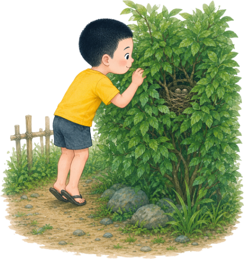 Cậu bé, tìm tổ chim