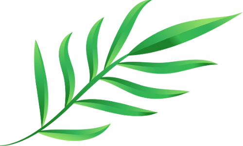 Lá cây, xanh tươi