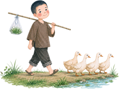 Cậu bé, chăn vịt