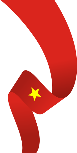 Lá cờ, cờ Việt Nam