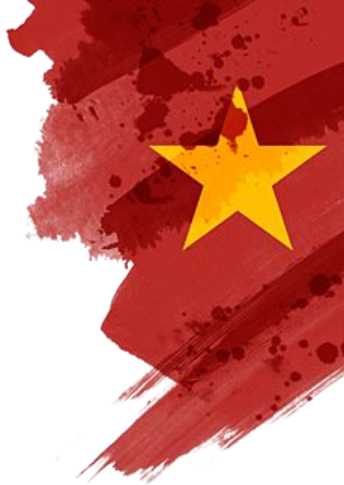 Cờ Việt Nam, lá cờ