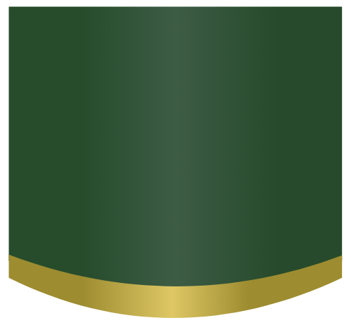 Shape, hình dạng