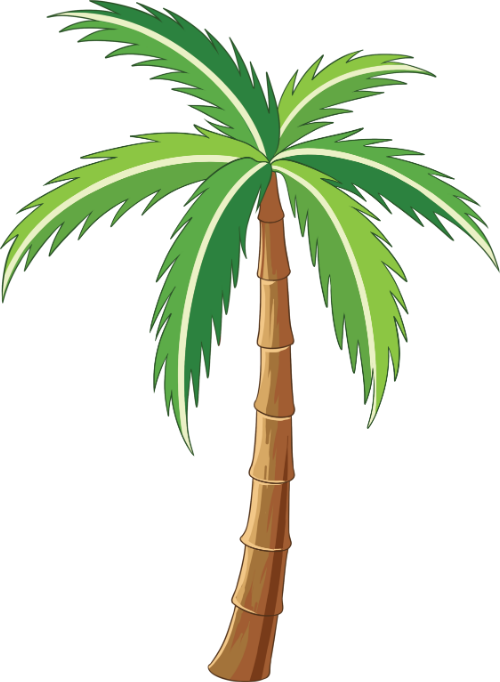 Cây dừa, cây xanh