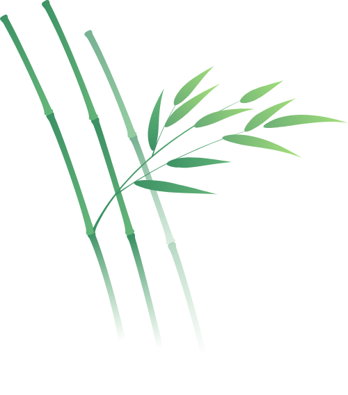 Cây tre, bamboo