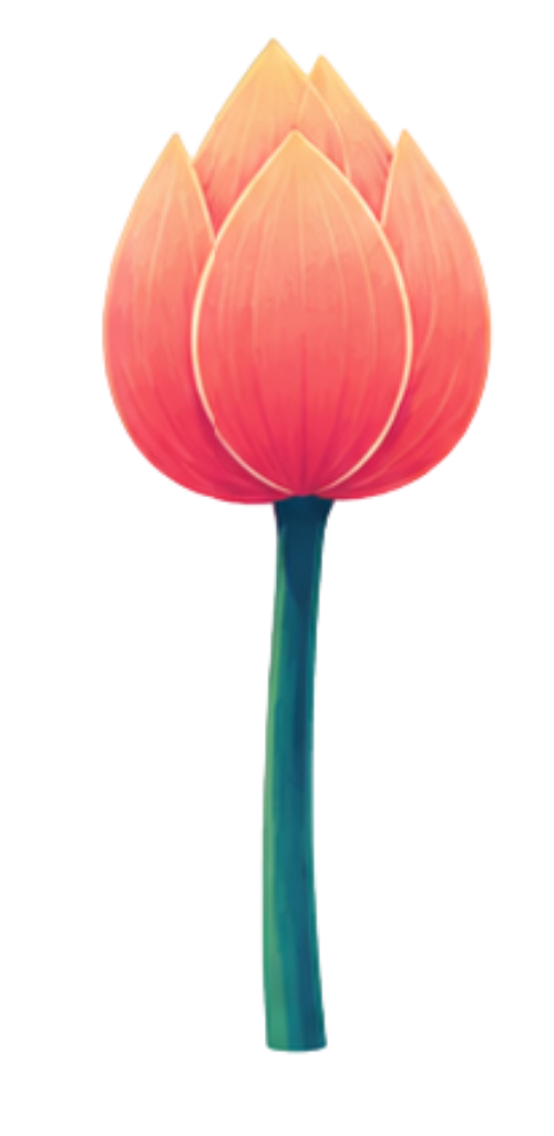 Hoa sen, sen hồng