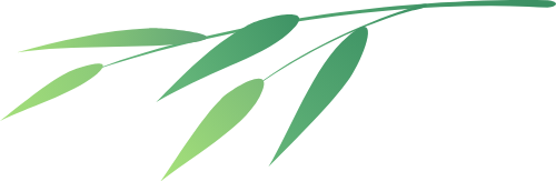Cây tre, bamboo 2