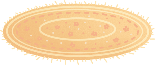 thảm, tấm thảm, khăn, thảm trải, carpet, rug, towel 3