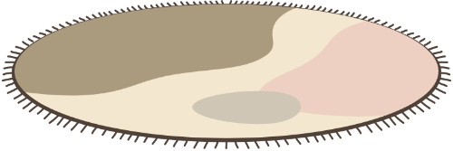 thảm, tấm thảm, khăn, thảm trải, carpet, rug, towel