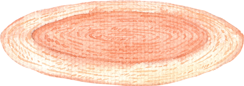 thảm, tấm thảm, khăn, thảm trải, carpet, rug, towel 6