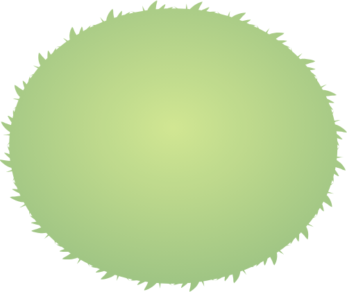 Cỏ, shape