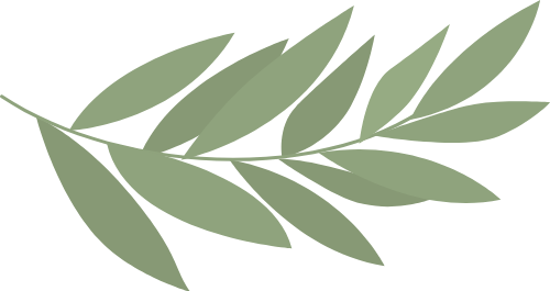 Danh mục Hoa lá