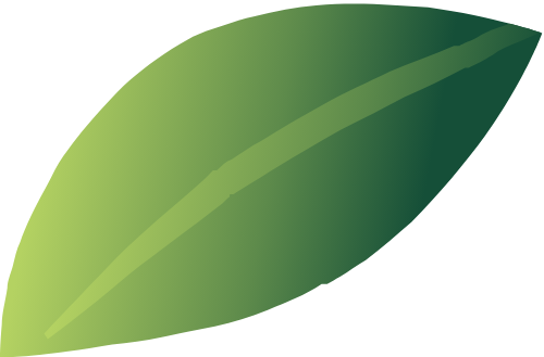 Lá cây, shape