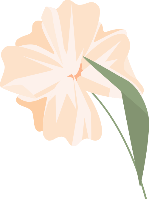 Hoa, flower