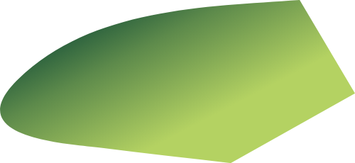 Cỏ, shape
