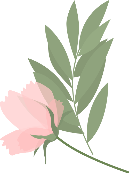 Hoa, flower
