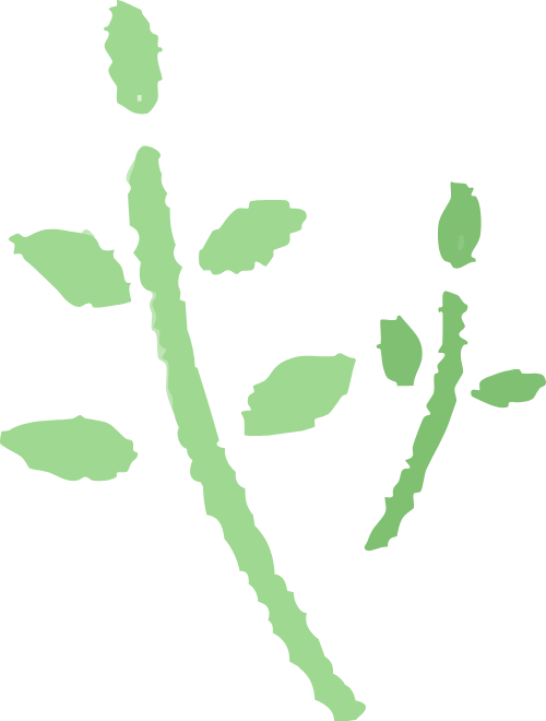 Hoa, flower 7