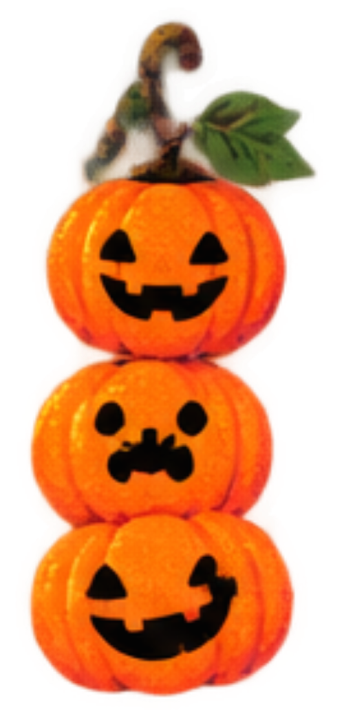 Bí đỏ, Haloween 4