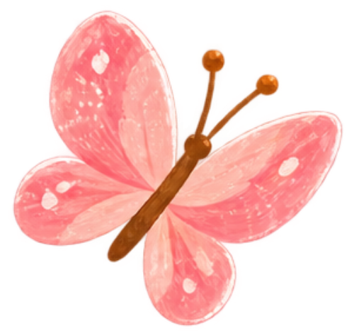 Bươm bướm, con bướm