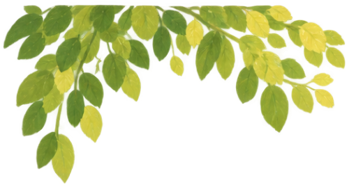 Hoa lá, cây cối, tree