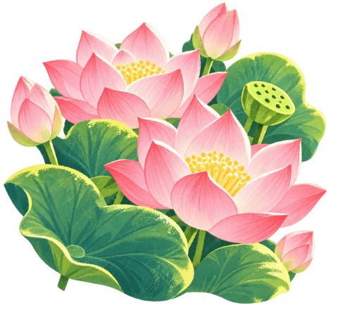 Hoa lá, cây cối, hoa sen