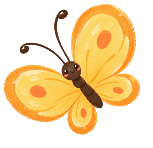 Bươm bướm, con bướm