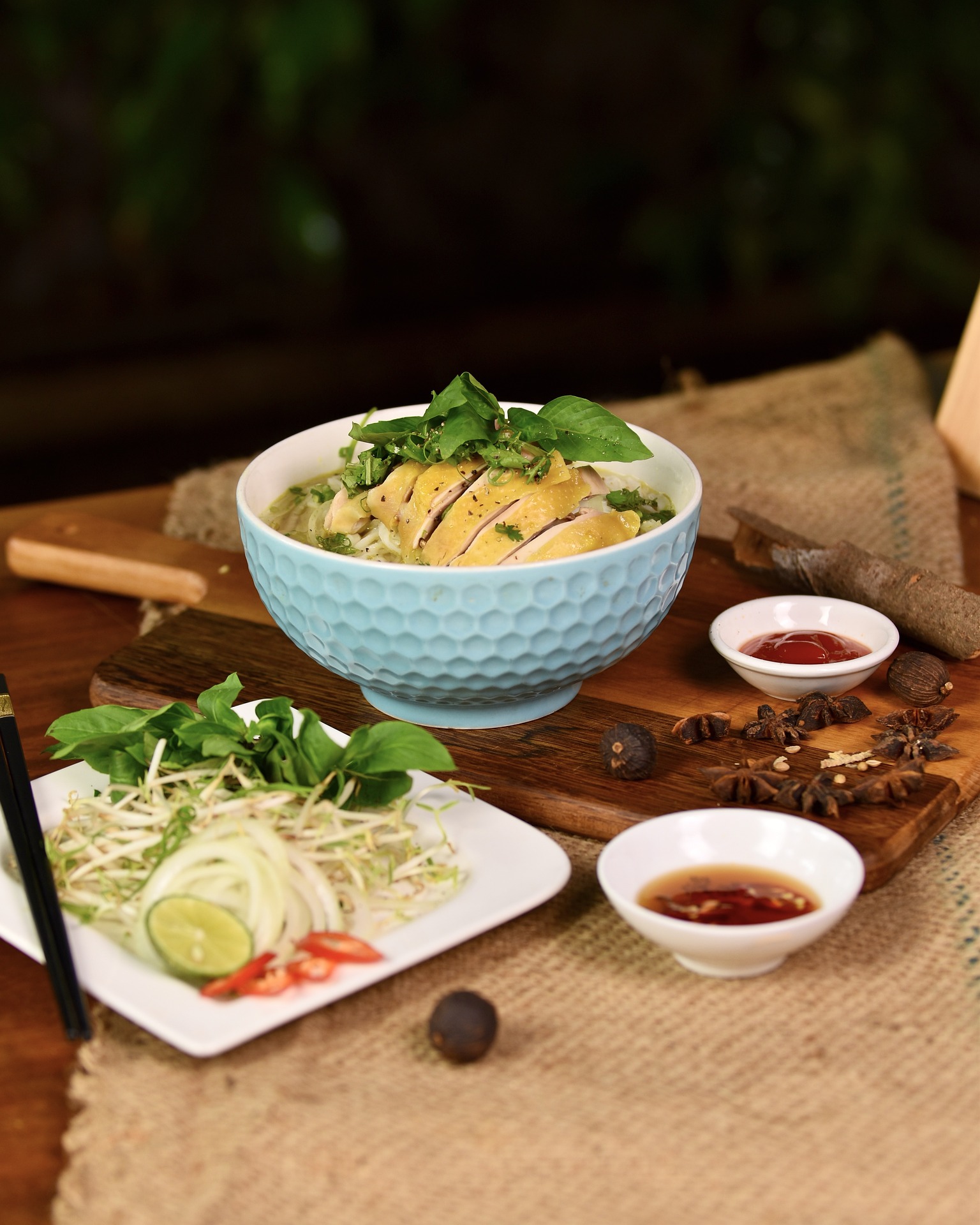Món ăn Việt Nam, ẩm thực Việt Nam, phở gà, phở, gà - Vu_Pham (2)