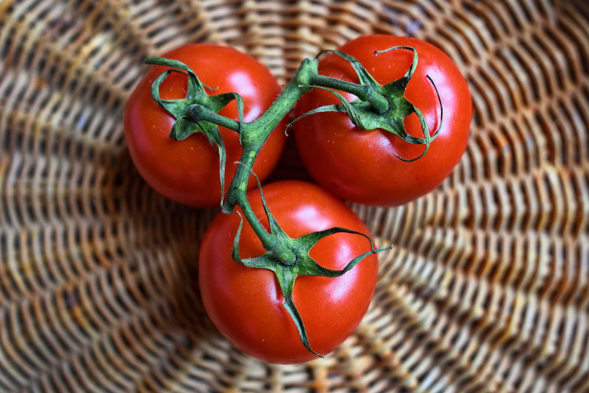 Cà chua, quả cả chua, rau củ, tomato - MabelAmber