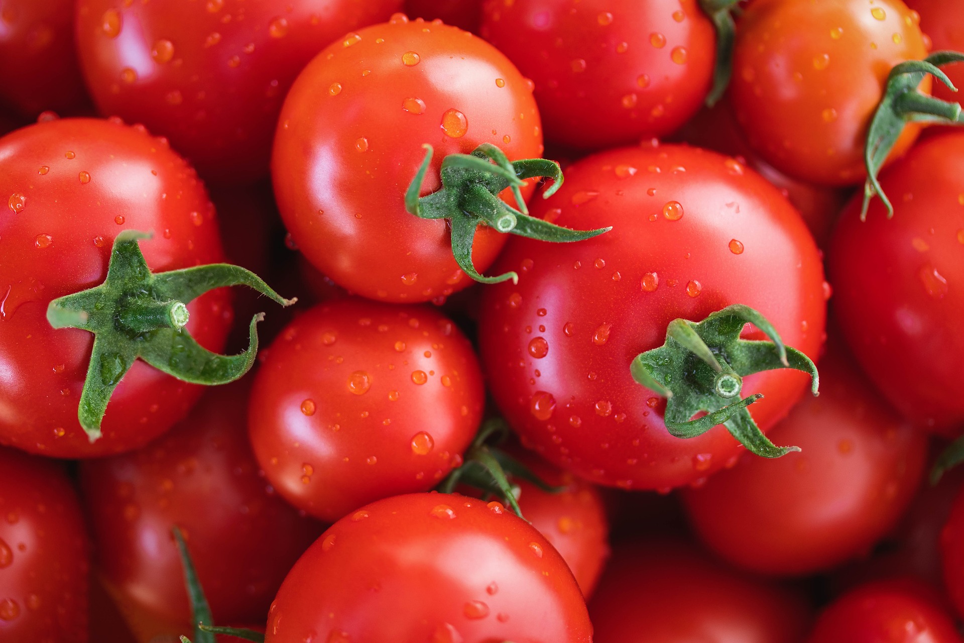 Cà chua, quả cả chua, rau củ, tomato -  Myriams-Fotos