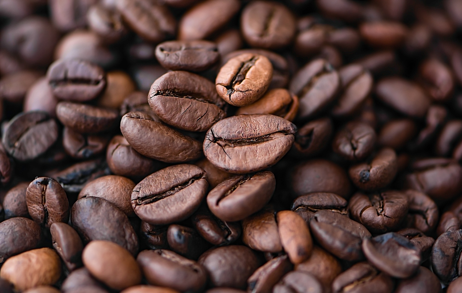 Cà phê, coffee, hạt cà phê, cà phê rang - Ri_Ya