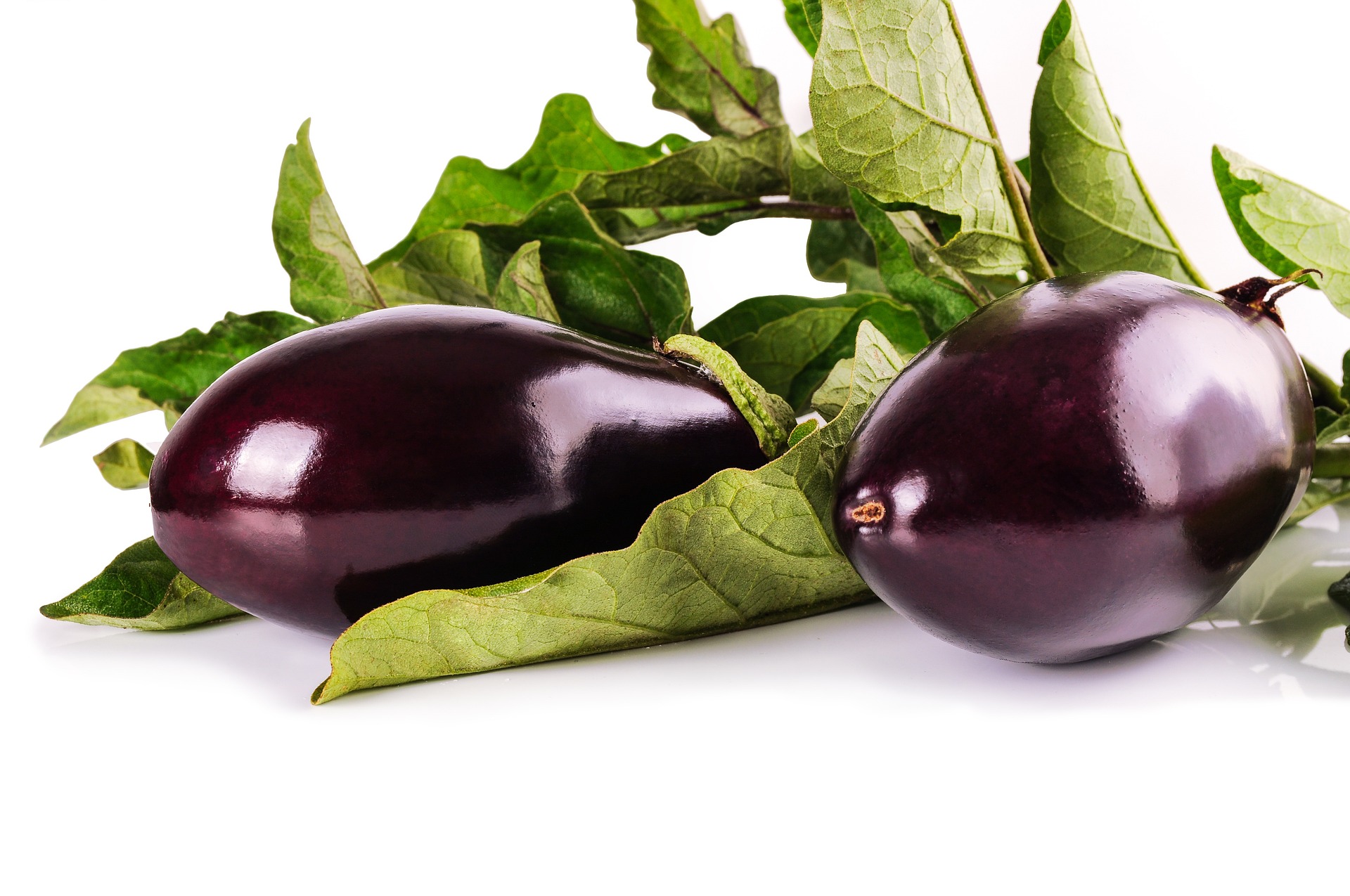 Cà tím, cà, rau củ, eggplant -  Larisa-K