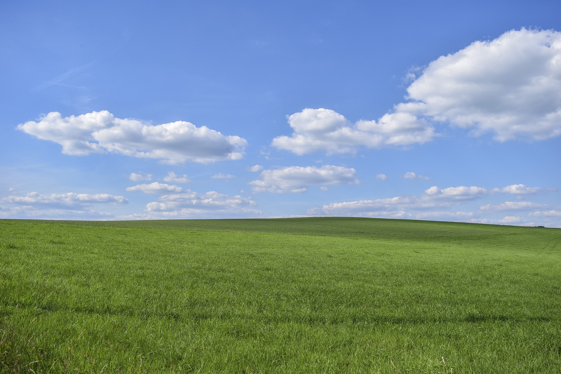Cỏ, bầu trời, sky, grass, nền, backround - 652234