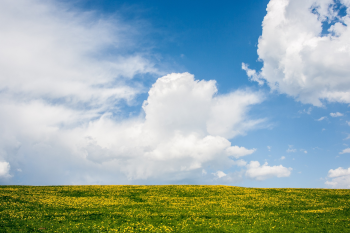Cỏ, bầu trời, sky, grass, nền, backround -  zapCulture