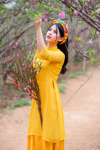 Cô gái, con gái, bạn gái, phụ nữ, áo dài, Tết, Xuân - Long_Phung