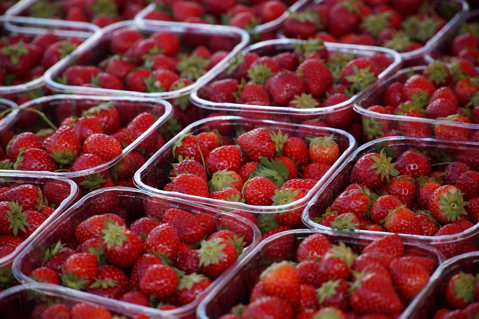Dâu tây, dâu, trái cây, strawberry - jhenning
