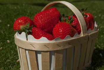 Dâu tây, trái dâu, quả dâu, strawberry -  jackmac34