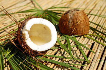 Dừa, dừa khô, coconut - Couleur