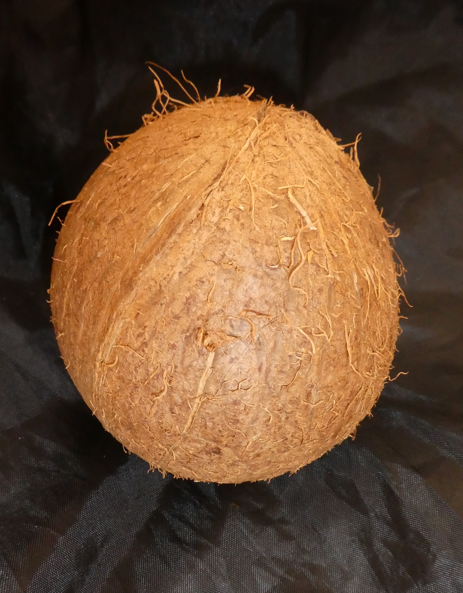 Dừa, dừa khô, coconut - Pudelinchen